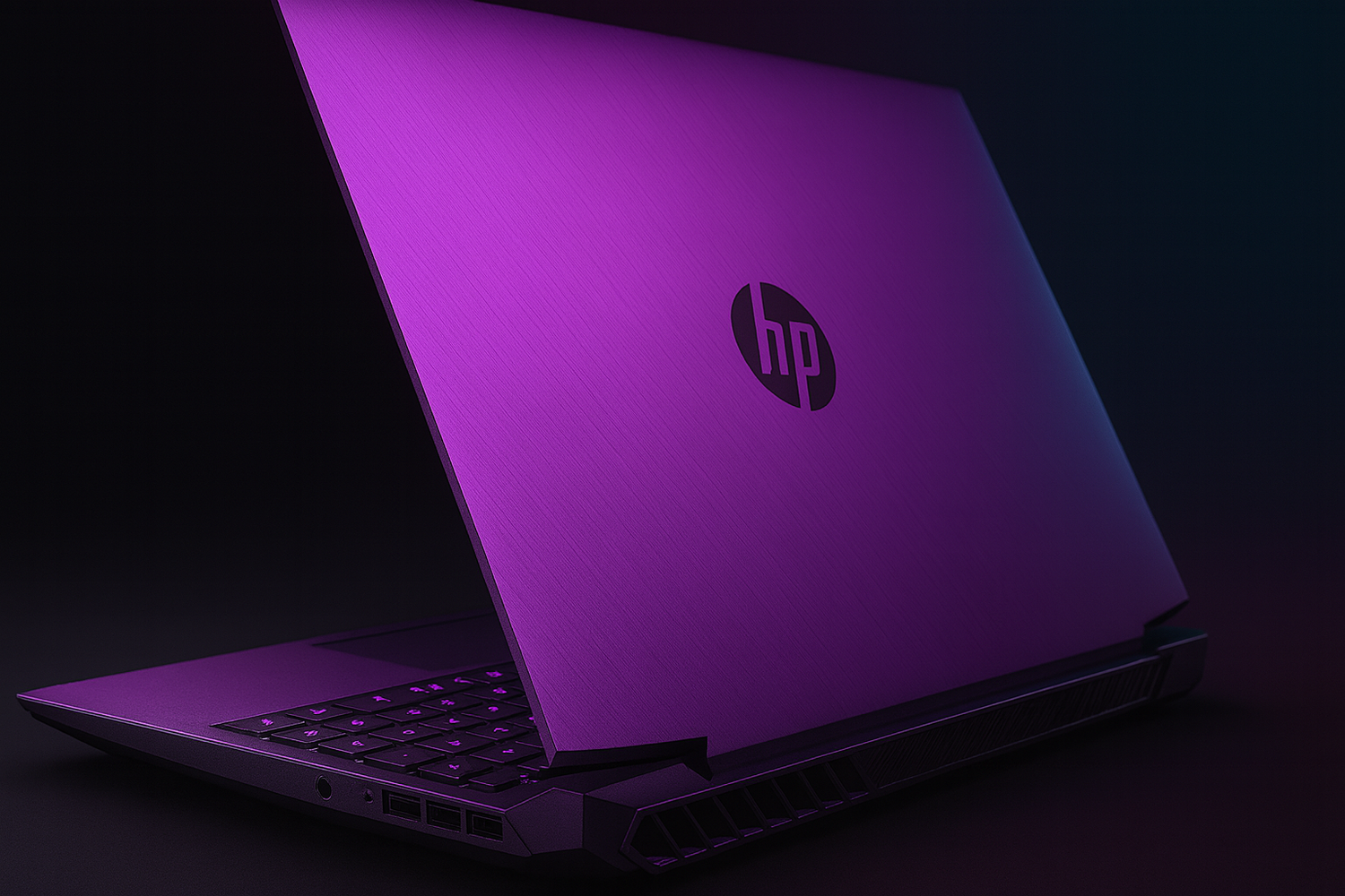 PROFESSIONAL             LAPTOPS